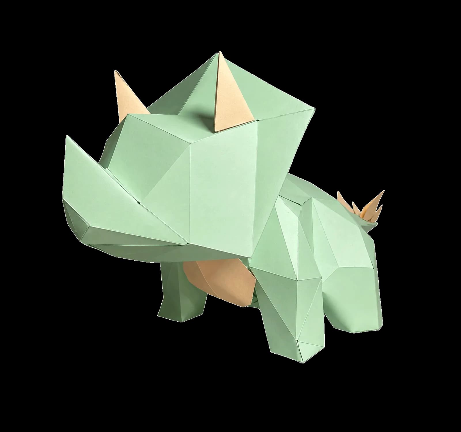 Triceratops Boris